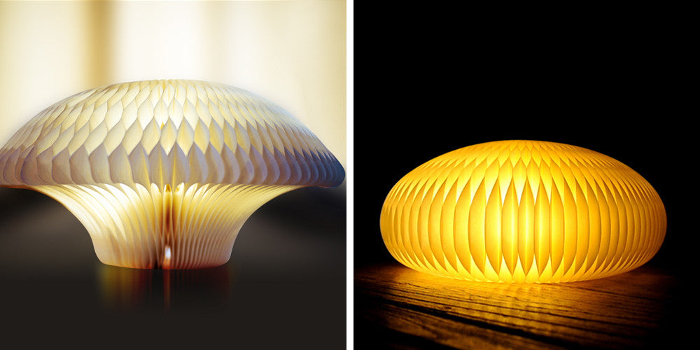 The Lamp